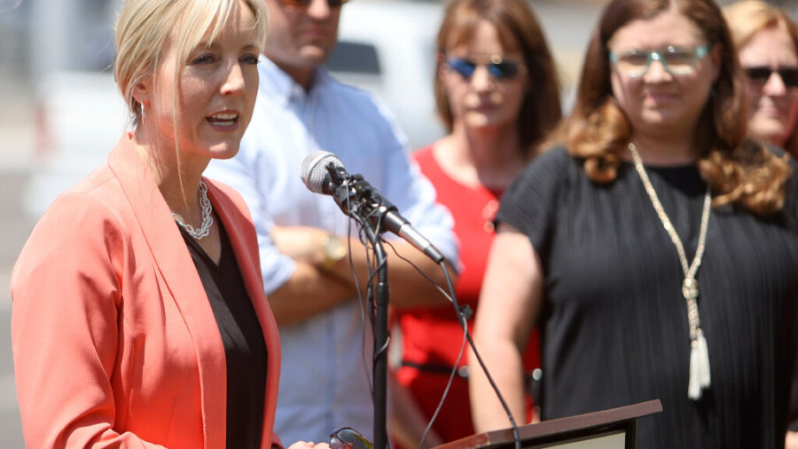 Which Salt Lake County Council members are running for reelection? 