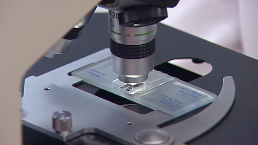 Utah company will work to develop ‘personalized medicine'
