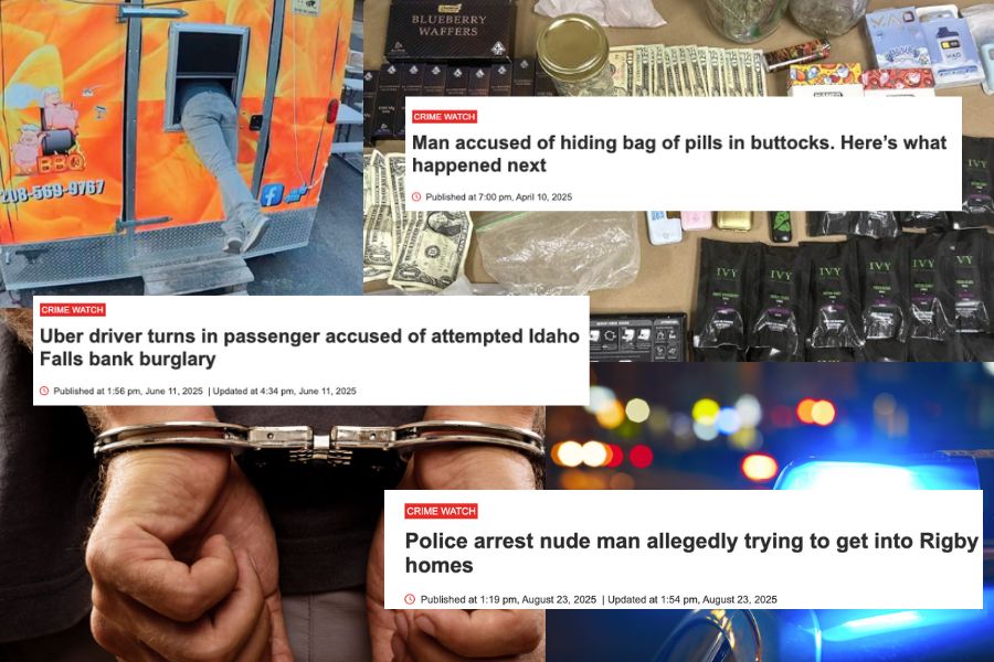 East Idaho's Top 10 weirdest or craziest crime stories of 2025