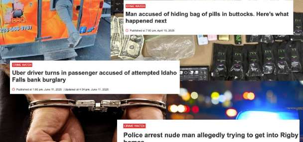 East Idaho's Top 10 weirdest or craziest crime stories of 2025