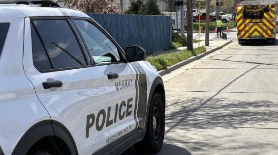 Man arrested in Murray stabbing tried to grab officer's gun, police say