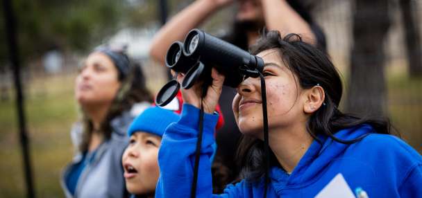 Photo gallery: Christmas bird count in Utah fosters community engagement
