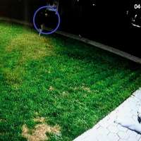 Weber County officers found justified in shooting, killing robbery suspect in April