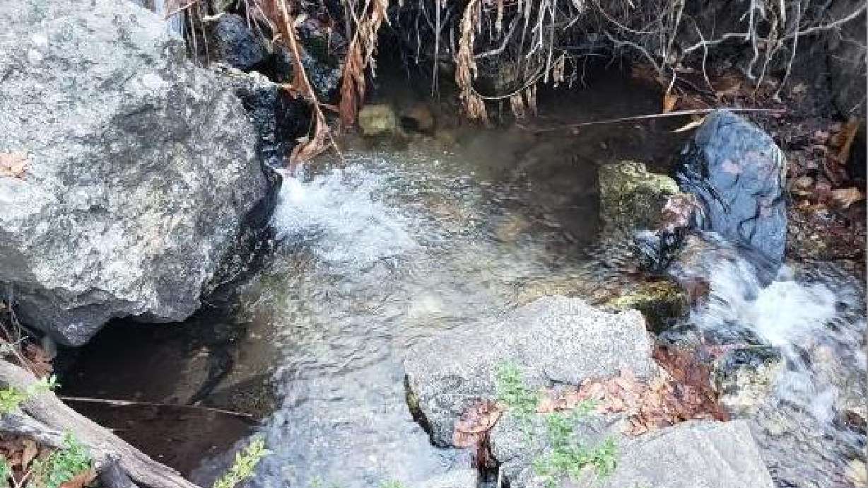 A small plunge pool in Beus Creek, in Weber County.
