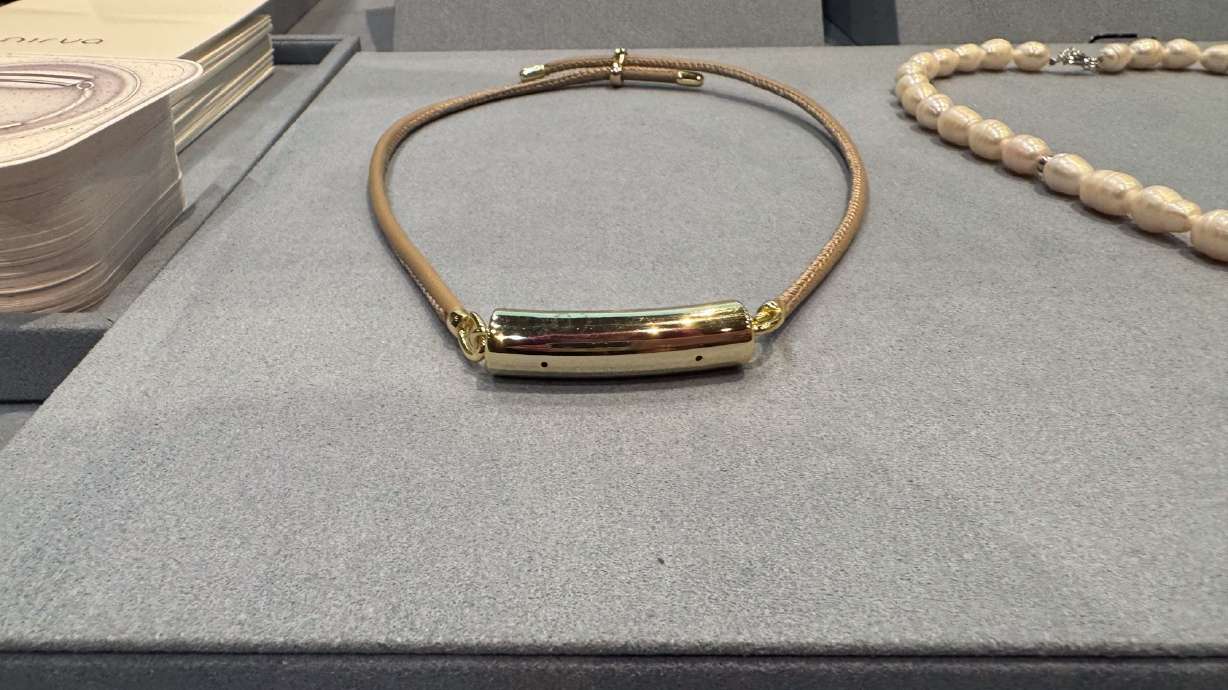 Nirva's AI jewelry can record audio to provide insights about your day, while providing another example of why an AI bubble isn't happening any time soon.