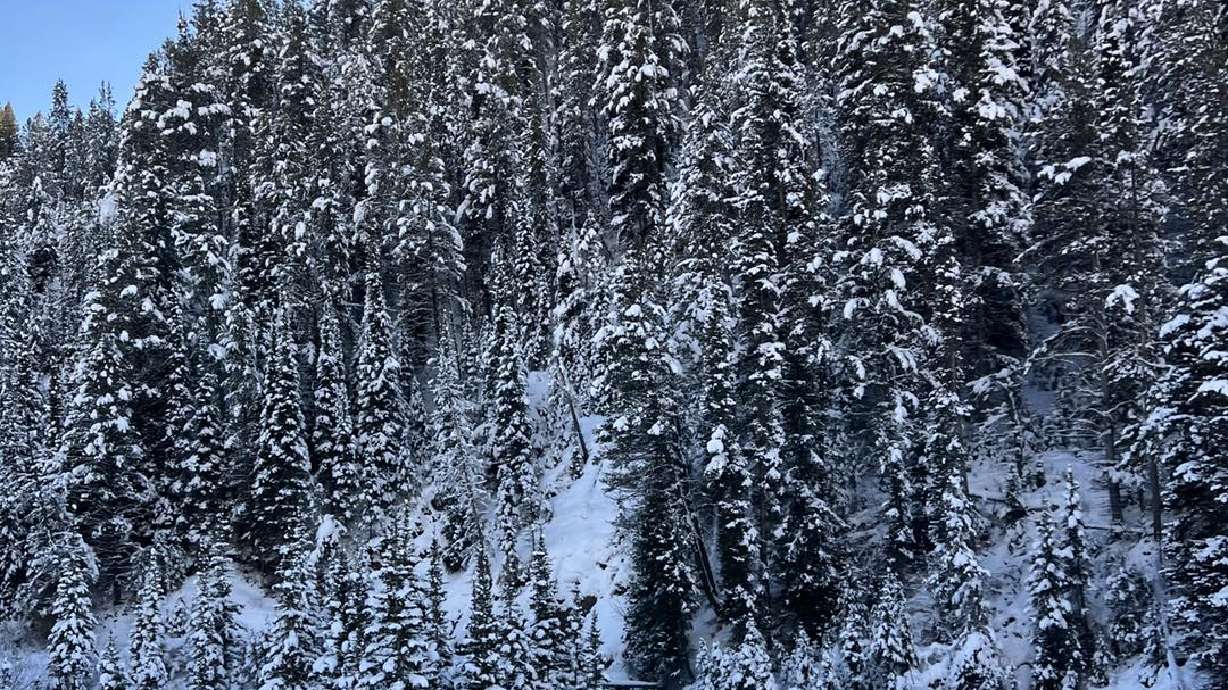A Utah man died in Wyoming avalanche while snowmobiling on Sunday, the Lincoln County Sheriff's Office in Wyoming, announced Monday.