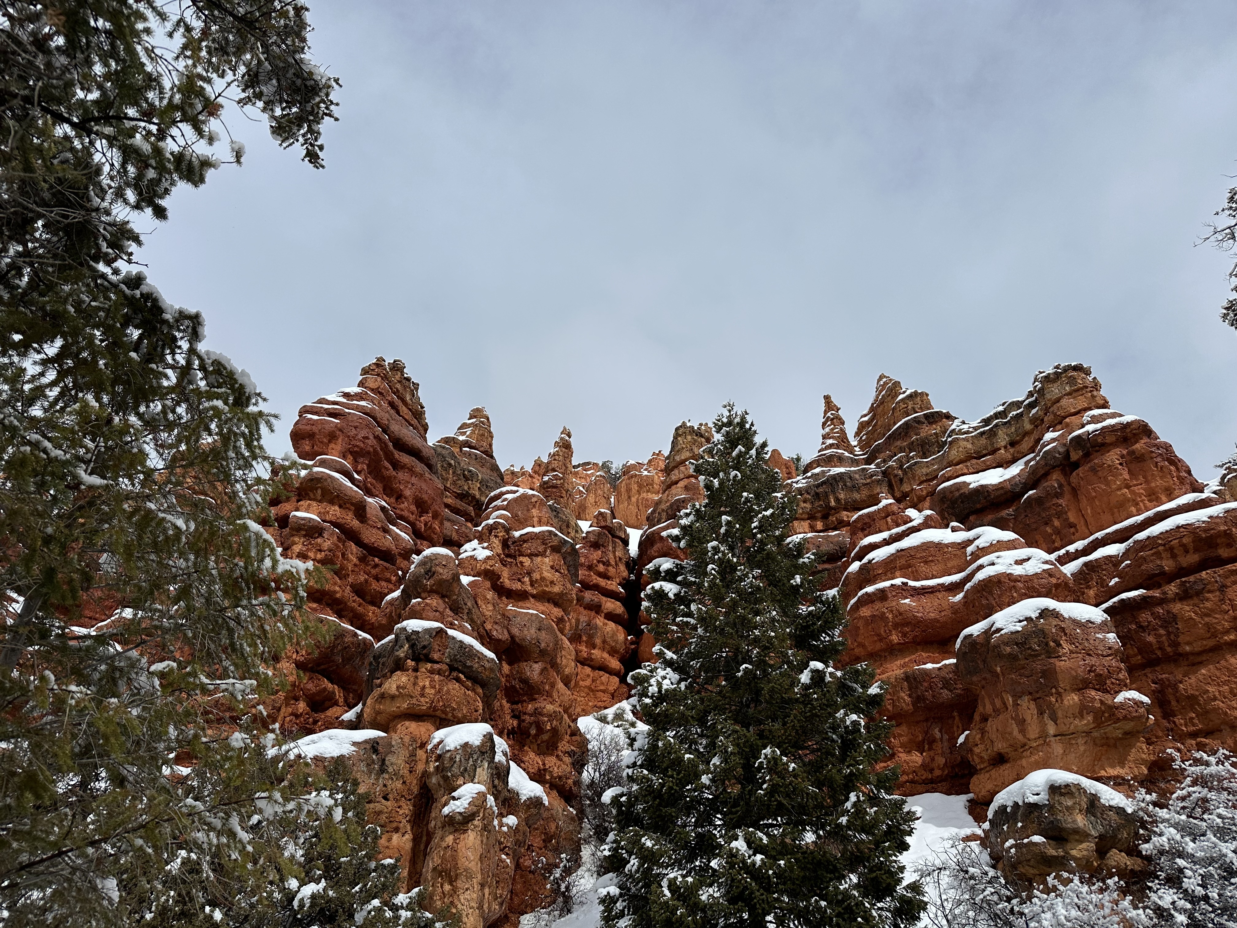 Missing woman found dead in southern Utah