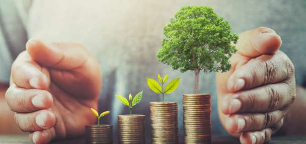 Building on a foundation of trust: Soltis Investment Advisors' journey to nationwide recognition