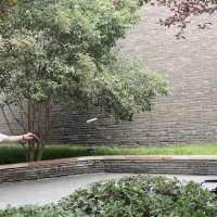 Have You Seen This? Couple shows off table tennis skills, no table necessary