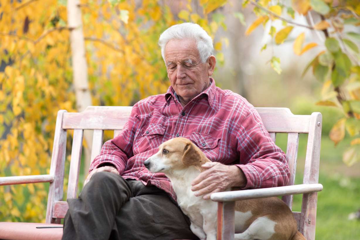 A gentle goodbye: How in-home euthanasia services can ease the pain of losing your pet