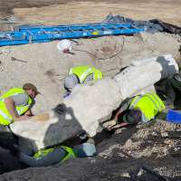 New dinosaur fossils excavated at Dinosaur National Monument