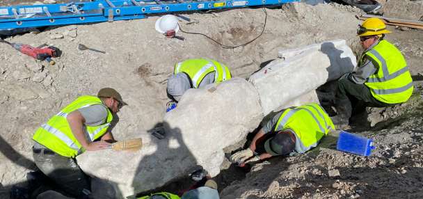 New dinosaur fossils excavated at Dinosaur National Monument