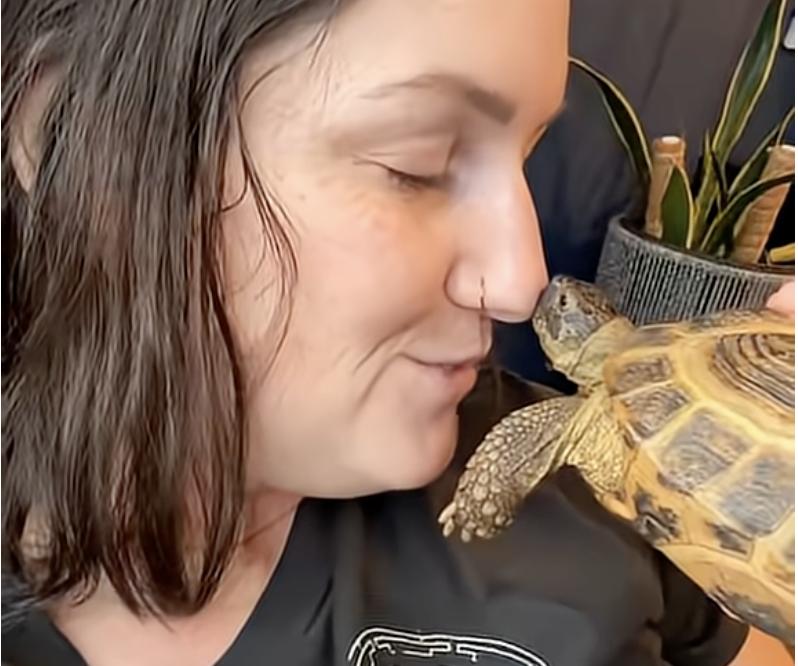 Have You Seen This? Tortoise sticks its neck out to kiss owner 