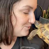 Have You Seen This? Tortoise sticks its neck out to kiss owner