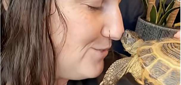 Have You Seen This? Tortoise sticks its neck out to kiss owner