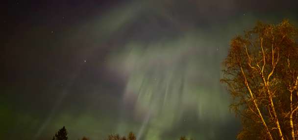 Aurora lights up Alaska skies with stunning green and red display