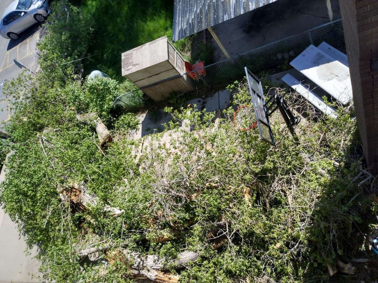 Fallen trees and debris cover the ground and lean against a stairwell at Brookview Apartments in Provo after a storm on May 11, 2024.