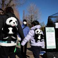 Crowds bid farewell to Japan's last pandas before return to China amid souring ties