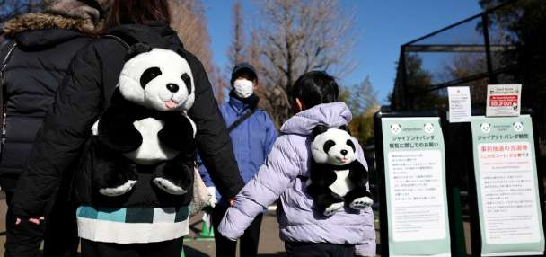 Crowds bid farewell to Japan's last pandas before return to China amid souring ties