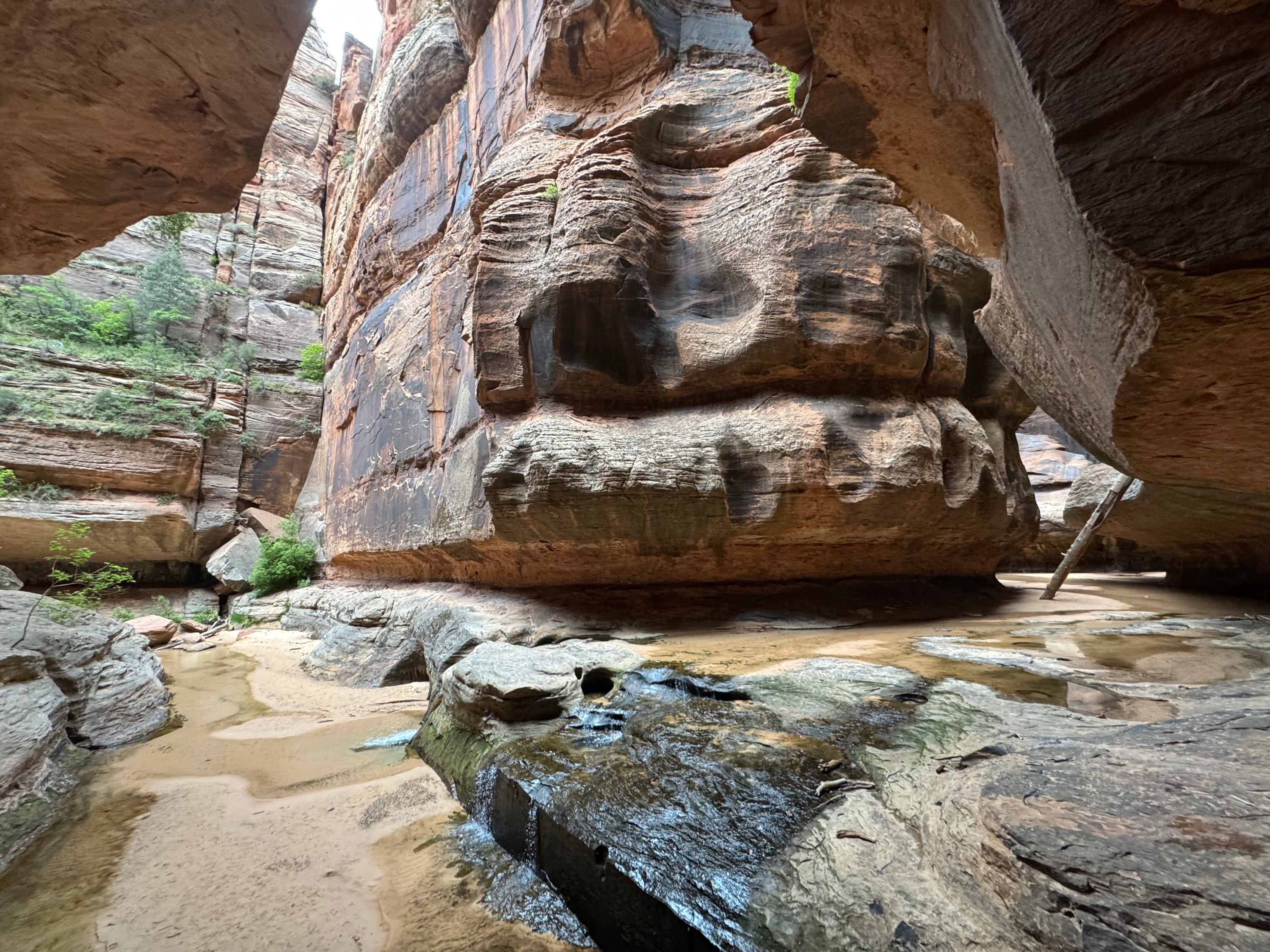 The Subway in Zion National Park is pictured on June 2, 2025. Zion National Park remained Utah's most visited park last year, per National Park Service data.