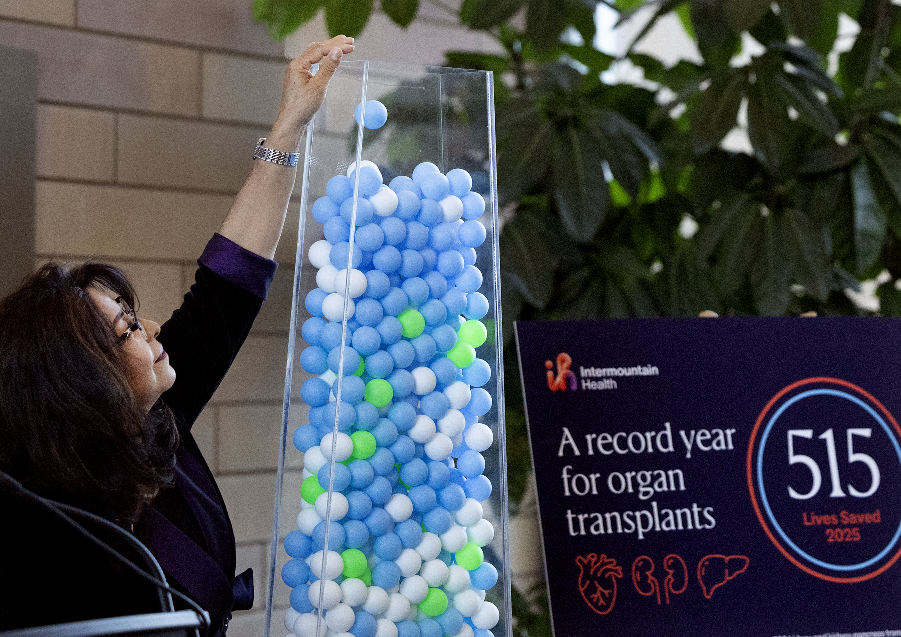 Ofelia Murillo, a kidney donor, adds the 514th ball to the 515 balls signifying the 515 organ transplant procedures at Intermountain Medical Center in Murray on Tuesday.