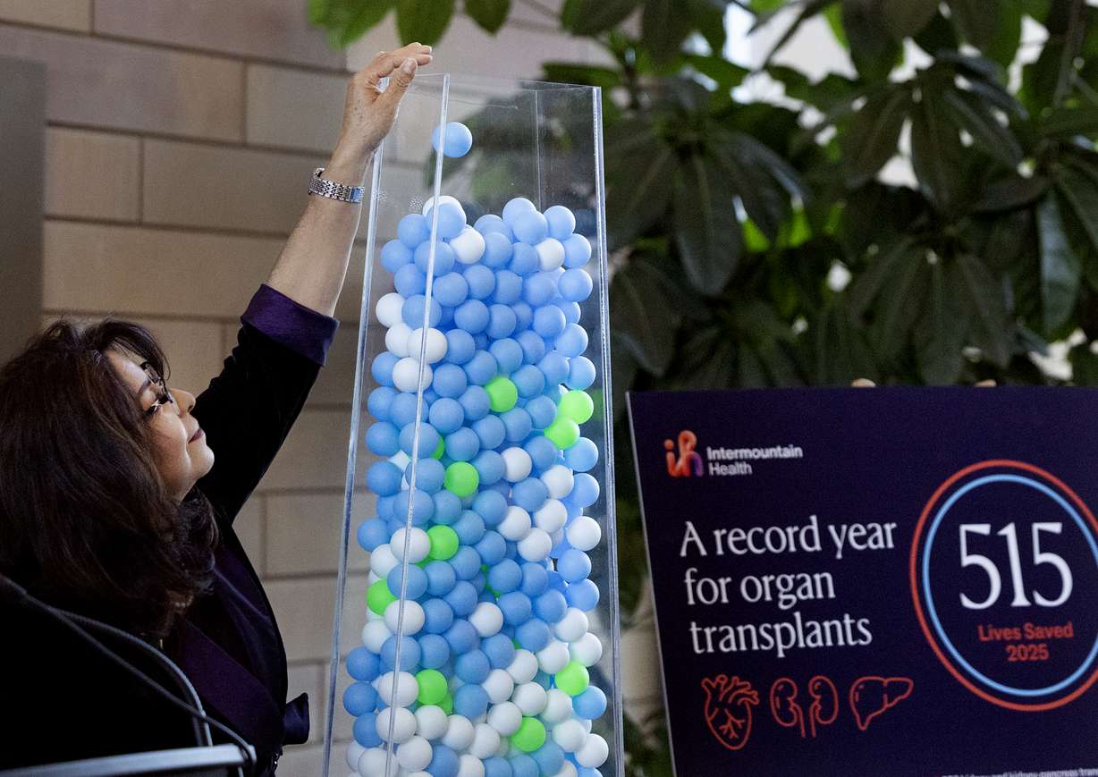 Ofelia Murillo, a kidney donor, adds the 514th ball to the 515 balls signifying the 515 organ transplant procedures at Intermountain Medical Center in Murray on Tuesday.