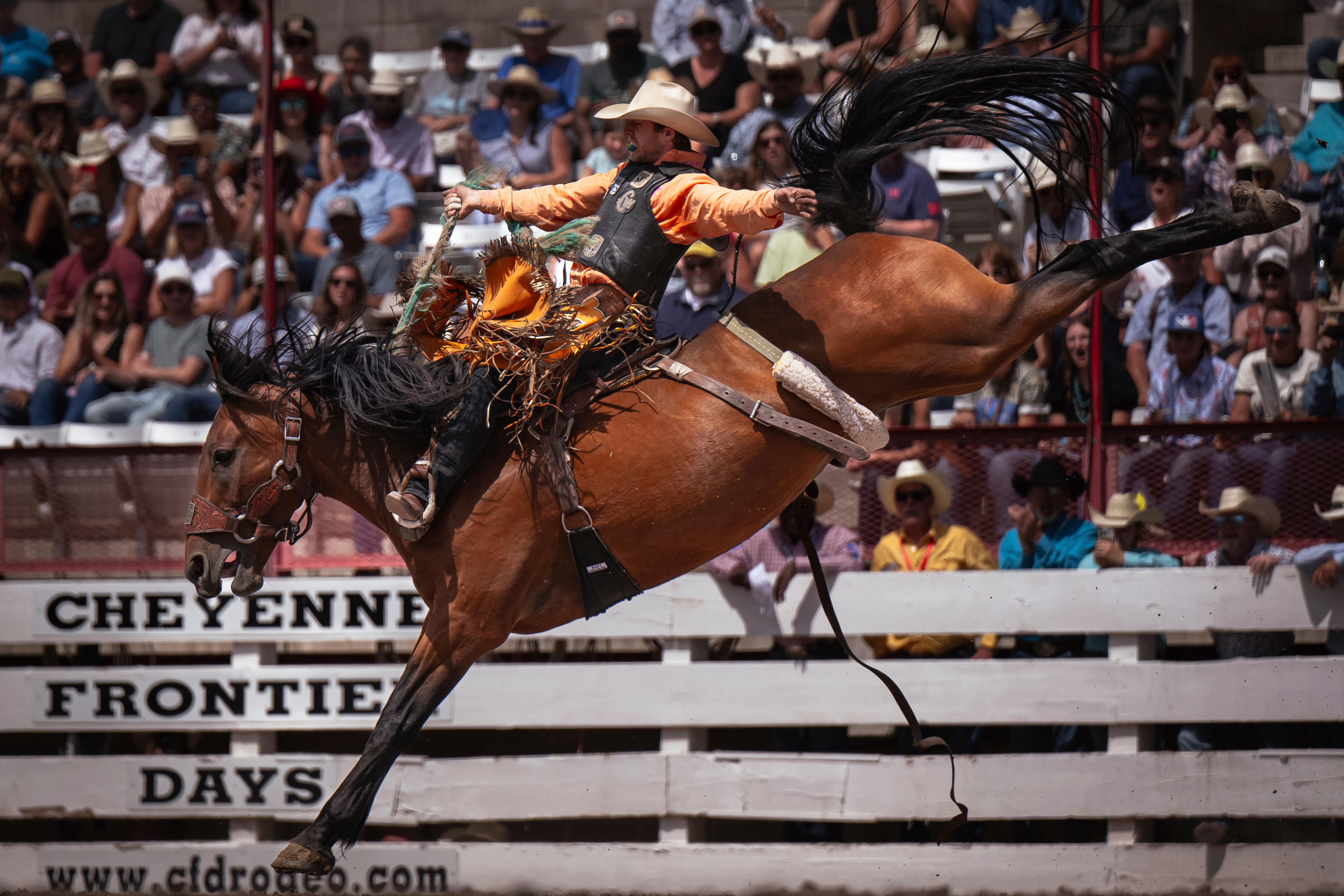 FILE - Brody Cress, of Hillsdale, Wyo., competes in saddle bronc riding during the 129th anniversary Cheyenne Frontier Days Rodeo on Championship July 27, 2025, in Frontier Park Arena. 
