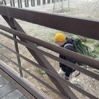 Volunteers walk Jordan River Trail for Point-in-Time homelessness count