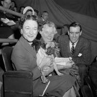 The Westminster dog show is turning 150. Here's what has — and hasn't — changed over time