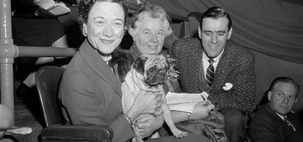 The Westminster dog show is turning 150. Here's what has — and hasn't — changed over time