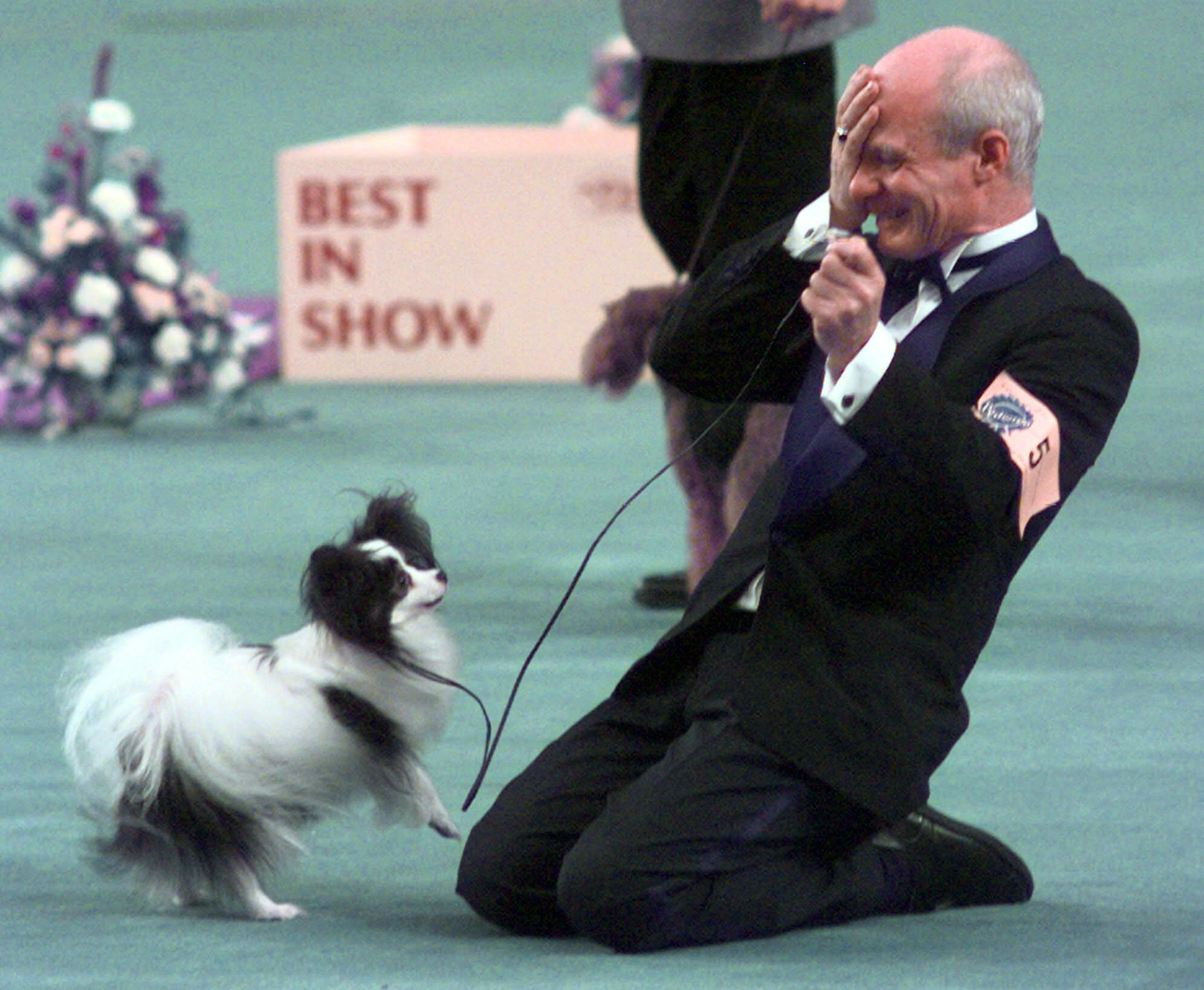 Kirby, a male Papillon, and his owner John Oulton react after winning best in show at the Westminster Kennel Club 1999 Dog Show at Madison Square Garden in New York Tuesday, Feb. 9, 1999.