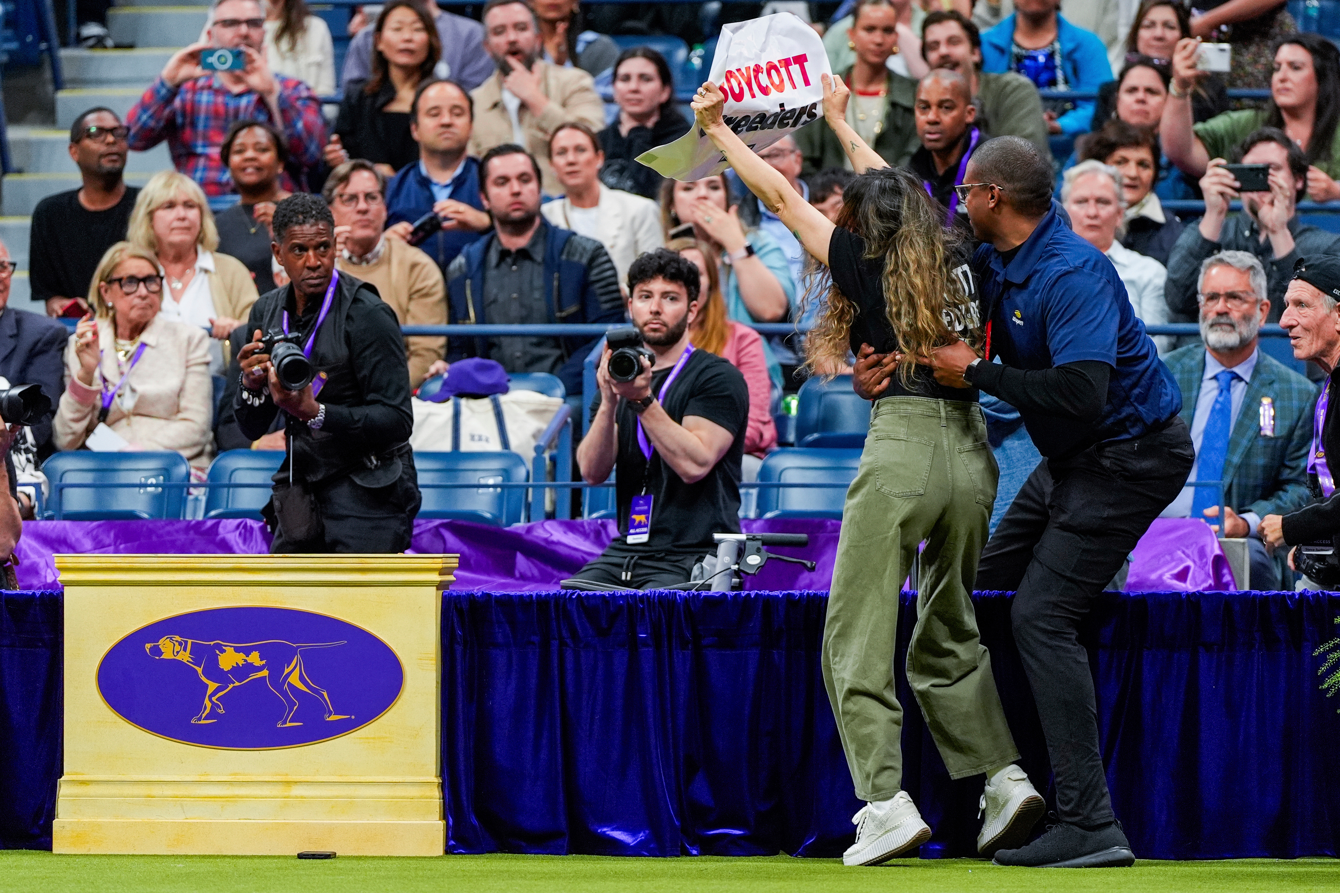 A security worker wraps up a protester during the best in show competition at the 148th Westminster Kennel Club dog show Tuesday, May 14, 2024, at the USTA Billie Jean King National Tennis Center in New York.