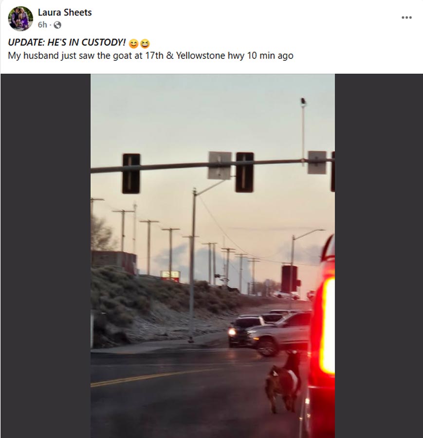 A Facebook post for the escaped goat in Idaho Falls. The owner said her husband got the goat for their anniversary, despite the tongue-in-cheek objections.
