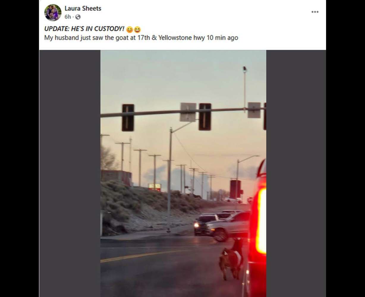 A Facebook post for the escaped goat in Idaho Falls. The owner said her husband got the goat for their anniversary, despite the tongue-in-cheek objections.