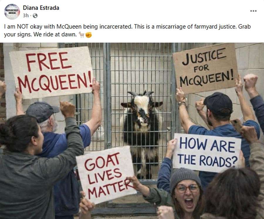 A humorous Facebook post "in support of" the escaped goat in Idaho Falls. The goat was safely captured and held at an animal shelter.