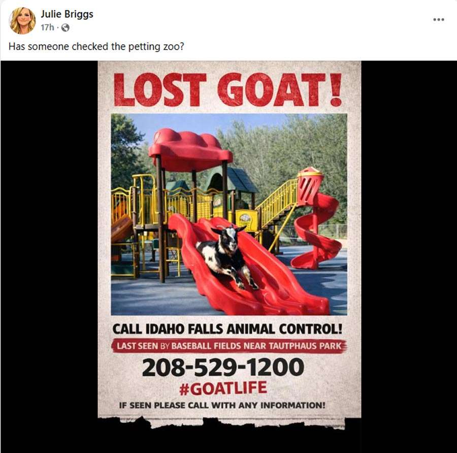 A lost poster generated for the escaped goat in Idaho Falls. Memes and AI-generated content popped up all over social media about the lost goat.