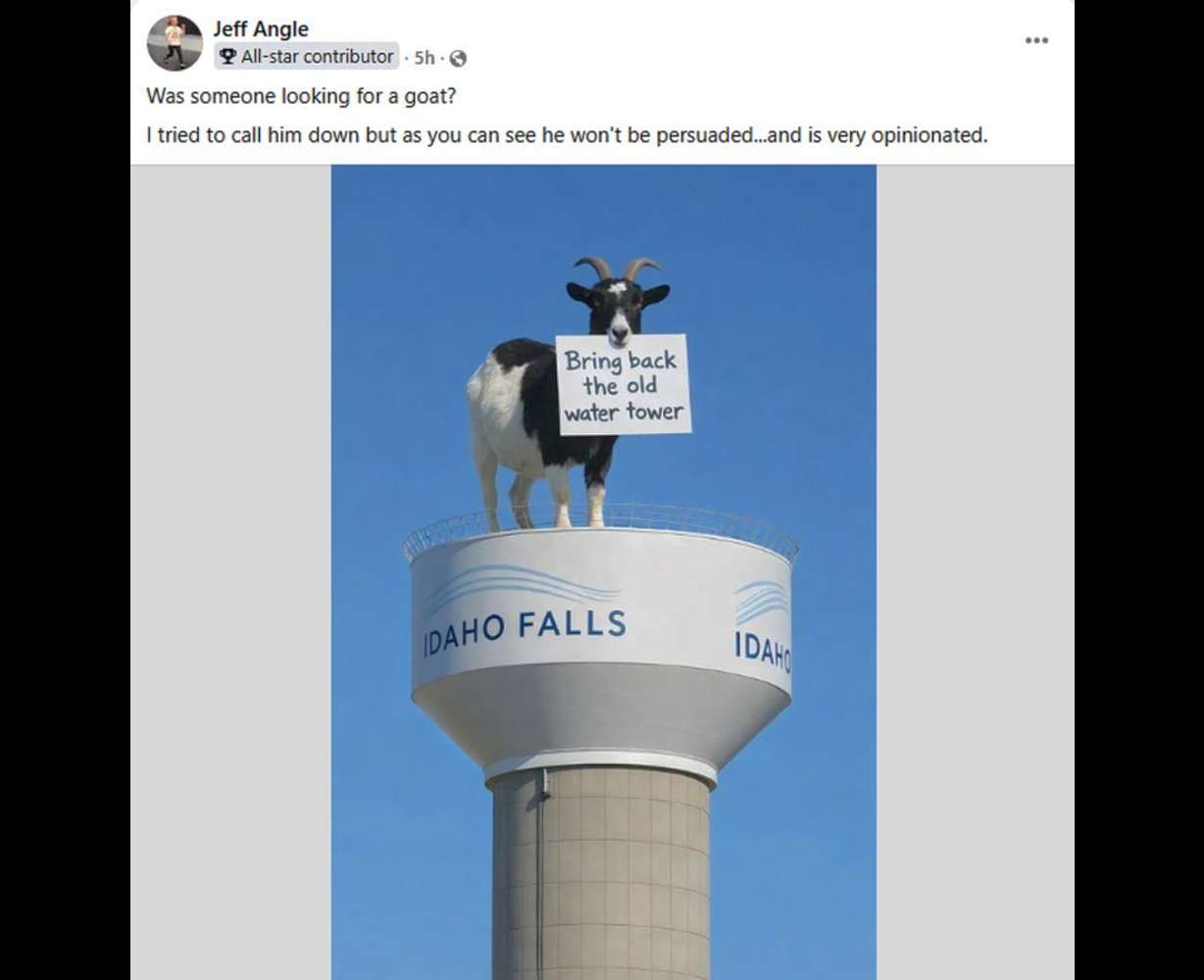 A humorous Facebook post on the lost goat in Idaho Falls. The owner said she expects plenty of visitors to see the goat come the summer.
