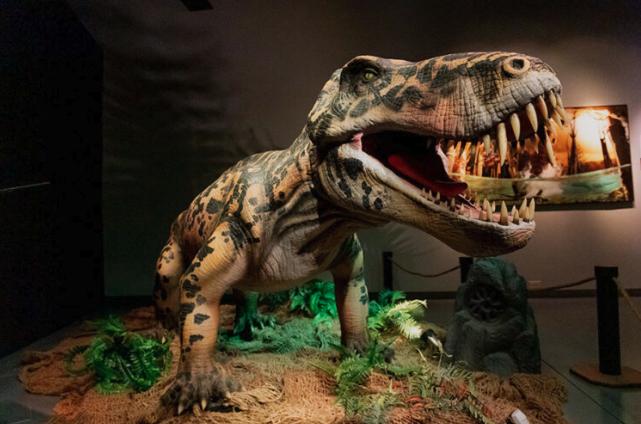 Museum of Idaho launches new exhibit exploring 'Life Before Dinosaurs'