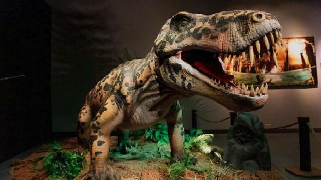 Museum of Idaho launches new exhibit exploring 'Life Before Dinosaurs' - KSL News image