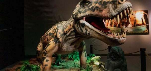 Museum of Idaho launches new exhibit exploring 'Life Before Dinosaurs'