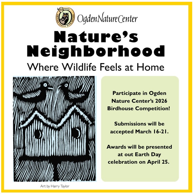 Birdhouse Competition 2026