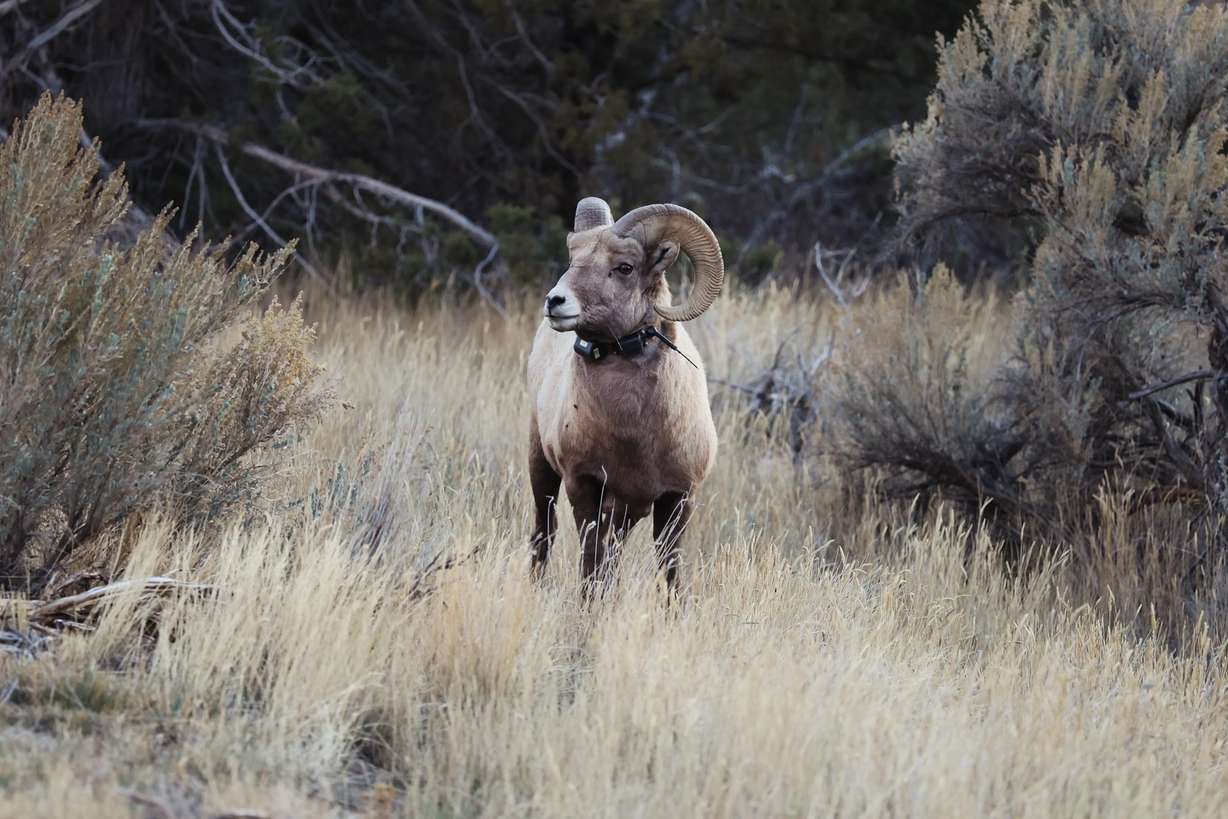 9 fun things to do in Flaming Gorge for a weekend getaway