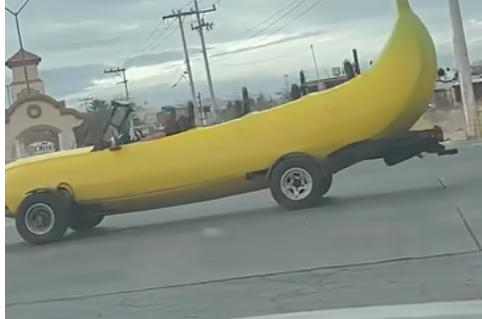 Have You Seen This? Your new car is very a-peeling
