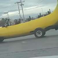 Have You Seen This? Your new car is very a-peeling