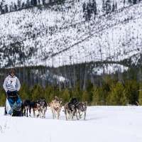 Idaho Sled Dog Challenge ceases operations after years of snow disruptions