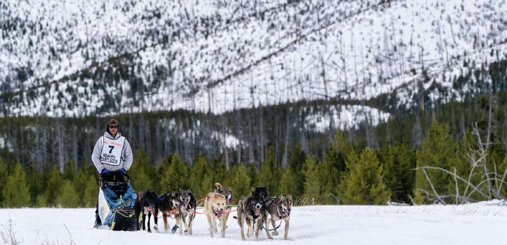 Idaho Sled Dog Challenge ceases operations after years of snow disruptions