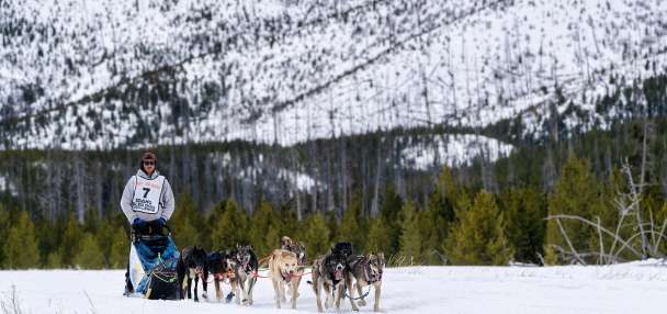Idaho Sled Dog Challenge ceases operations after years of snow disruptions