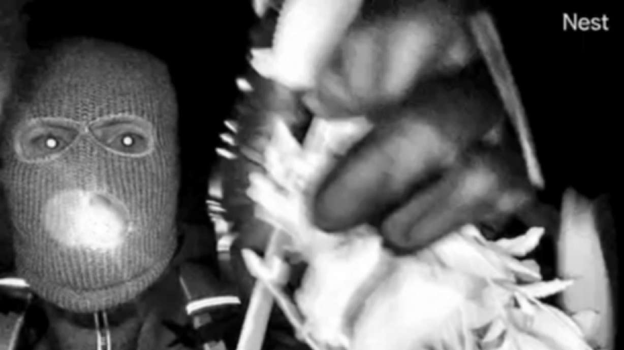 FBI releases first surveillance images of masked person on Nancy Guthrie's porch Tuesday.