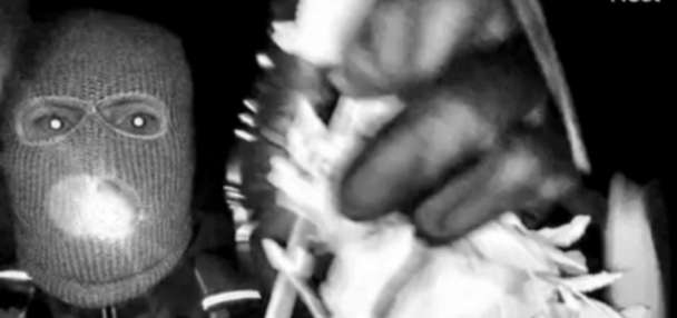 FBI releases first surveillance images of masked person on Nancy Guthrie's porch