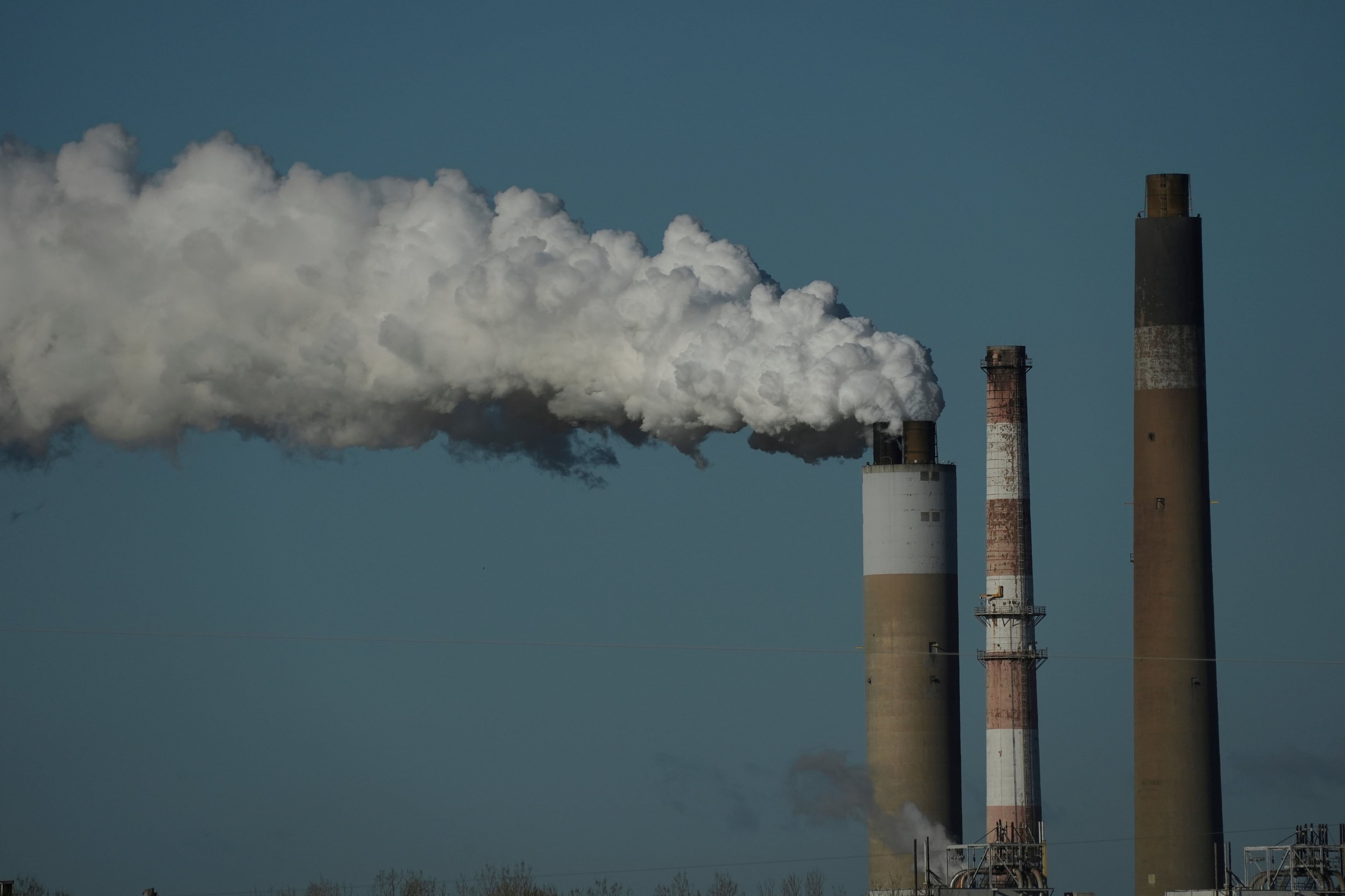 Top Environment story anchor